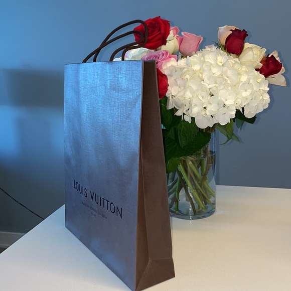 Louis Vuitton Large Gift Bag 💯 Authentic - Picture 2 of 4